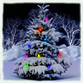 Winter Wallpaper And Deco