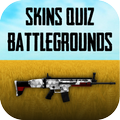 Quiz Battlegrounds skins