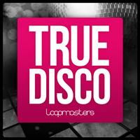 True Disco for Soundcamp capture d'écran 3