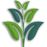 Xikmado icon