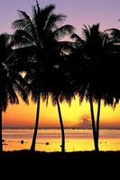 Lombok Sunset Wallpaper 스크린샷 1