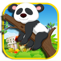 Funny happy panda jumper