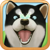 Dog  Sweetie Run APK