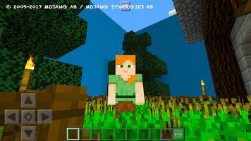 Try Find Button. MCPE map 海報