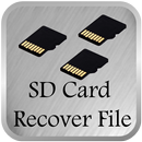 SD Card Recover File APK
