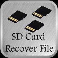 SD Card Recover File 截图 1