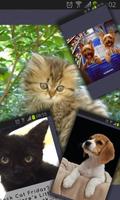 Cute Addict - Animal pictures syot layar 2