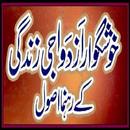 Azdawaji Zindagi APK