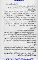 World Encyclopedia Urdu capture d'écran 3
