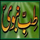 Tibe Nabvi k Karishme APK