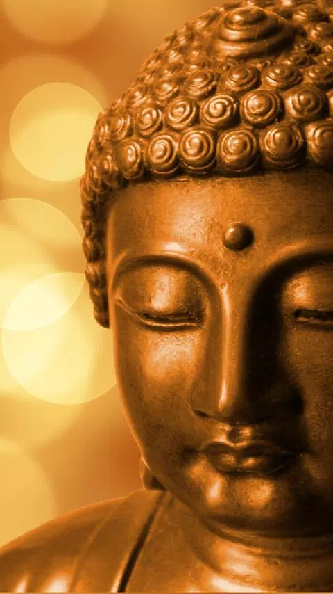lord buddha live wallpapers APK for Android Download lord buddha live wallpapers APK for Android Download