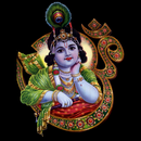APK Krishna Bhajans