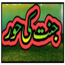 Book Jannat by M.Tariq Jamil APK