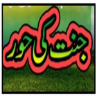 Book Jannat by M.Tariq Jamil أيقونة