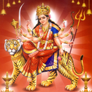 Maa Durga Bhajans APK