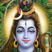 LWP Signore Shiva