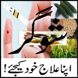Sugar ka ilaj in Urdu أيقونة