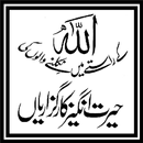 Bayan Book by Tariq Jamil 2015 APK