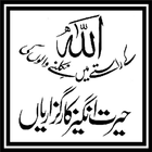 Bayan Book by Tariq Jamil 2015 أيقونة