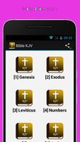 Audio Bible KJV Offline Cartaz
