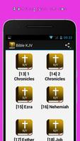 Audio Bible KJV Offline capture d'écran 2