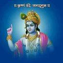 Lord Krishna Wallpapers HD APK