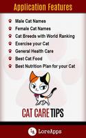 Cat Care Tips poster