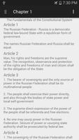 Poster Russian Constitution