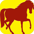 Horse Games Free aplikacja