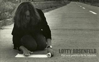 Lotty Rosenfeld ポスター