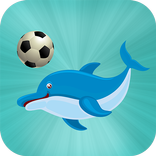 海豚足球展