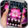 Lotus Pink and Waterdrops