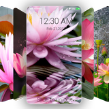 Lotus Wallpapers 4K Lock Screen Pro icon