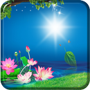 Lotus Rain Live Wallpaper APK