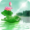 ”Lotus Live Wallpaper