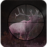 Real Deer hunting 3D game icône