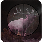 Real Deer hunting 3D game icon