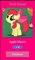 My Little Pony Quiz poster