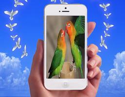 برنامه‌نما Love Bird Photo Frames عکس از صفحه