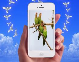 Love Bird Photo Frames اسکرین شاٹ 3