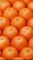 برنامه‌نما Orange Wallpapers HD عکس از صفحه