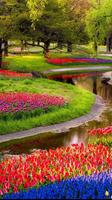 Garden Wallpapers HD скриншот 3