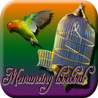 Memancing Lovebird Lepas dari kandang icon