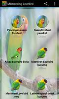 Memancing Lovebird Lepas dari kandang اسکرین شاٹ 3