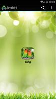 Lovebird sounds الملصق