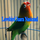 Video Lovebird Juara Nasional icon