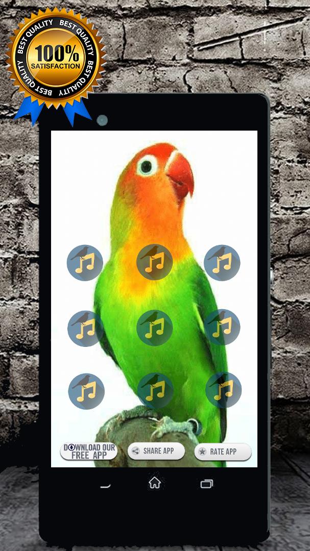 Lovebird Singing Song : Lovebird Sounds MP3 APK voor Android Download