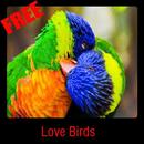 Love Birds APK