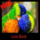 Love Birds ikona