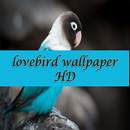 lovebird wallpaper HD APK